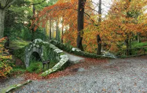 Down Prints: Bridge over Shimna River, Tollymore Forest
