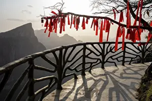 Buddhism Prints: Buddhist prayer flags tied to tree branches