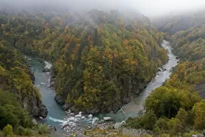 Images Dated 8th October 2008: Buk Sokolovina (cascade) in Beech forest, Tara Canyon, Durmitor NP, Montenegro, October