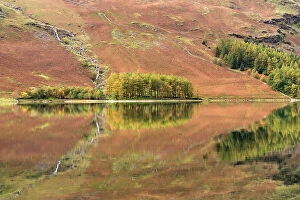 Images Dated 9th July 2020: Buttermere reflections, Cumbria, The Lake District, UK. November 2016