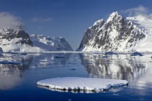 Images Dated 2010 December: 