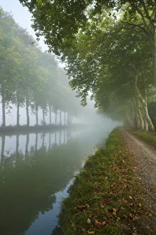 Images Dated 25th September 2011: The Canal du Midi near Castelnaudary, Languedoc-Rousillon, France. September 2011