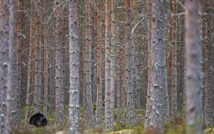Images Dated 2014 April: 