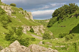 Images Dated 10th June 2008: Carboniferous limestone outcrops. Lathkill Dale National Nature Reserve, Peak District