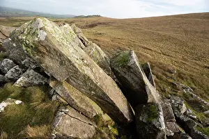 Outcrop Prints: Carn Goedog, an outcrop of Dolerite rock in the Preseli Hills