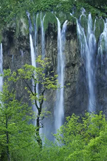 Images Dated 24th May 2010: A cascade of waterfalls falling over a cliff in woodlands. Plitvice National Park