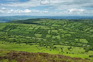 Herefordshire Prints: Cefn Hill with small Celtic type fields with tree-lined hedges viewed from Black Hill / Cat's Back