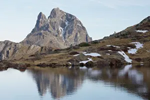 Summit Prints: Chamois (Rupicapra pyrenaica)