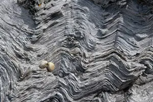 Isle Of Anglesey Prints: Chevron folded Psammite, a low grade metamorphic rock