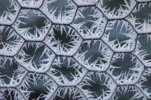 Spike Prints: Chicken wire coated in hoar frost. Peak District National Park, Derbyshire, UK, December