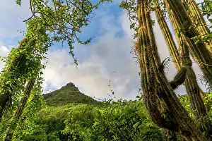 Caribbean Prints: Christoffel mountain at sunrise