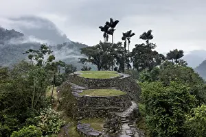 Culture Prints: Ciudad Perdida, archaeological site of an ancient city surrounded by rainforest