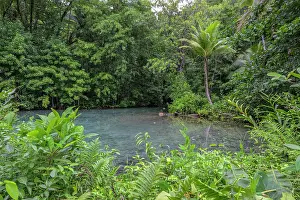 New Ireland Prints: A clear brackish lagoon surrounded by dense vegetation