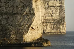 Cliffs on the Dwejra coast, Gozo, Malta, May 2009