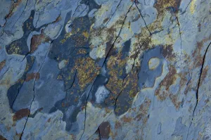 Luis Quinta Prints: Close-up of rock, Alentejo, Natural Park of South West Alentejano and Costa Vicentina