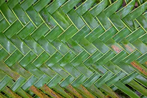 Culture Prints: Close-up of woven palm leaves, Loaua Island