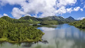 Dominica Prints: Cloud forest on mountains surrounding Freshwater Lake at approximately 2500 feet
