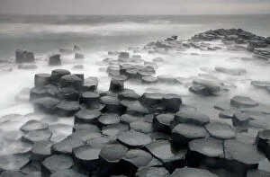 Images Dated 20th June 2009: Coastal basalt landscape, Giant's Causeway, Unesco Heritage Site, County Antrim, Northern Ireland