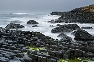 Antrim Prints: Coastal basalt landscape, Giant's Causeway