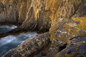 Images Dated 11th June 2009: Coastal cliffs, Cabo Sardo, Alentejo, Natural Park of South West Alentejano and Costa Vicentina