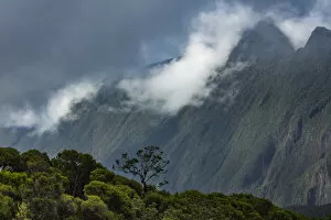 Images Dated 10th August 2021: The Col de Boeuf, Reunion Island