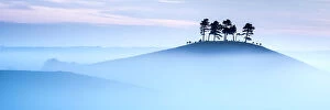 Cool Coloured Landscapes Collection: Colmers Hill in morning mist, near Bridport, Dorset, UK. September 2012