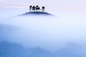 Tranquility Gallery: Colmers Hill in morning mist, near Bridport, Dorset, UK. September 2012
