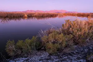 Range Prints: Colorado River at dawn with Sierra El Mayor de Cucapa mountain range in background