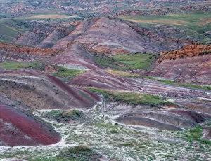 Images Dated 3rd November 2009: Colourful rolling hills along the border region to Azerbaijan, David Gareji Nature Reserve