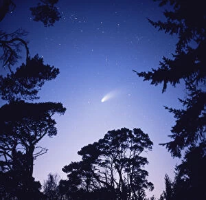 Images Dated 25th May 2006: Comet Hale Bopp seen from Southern England, February 1997