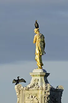 Two Common comorants (Phalocrocorax carbo) perched on statue drying out, Bushy Park Two Common comorants (Phalocrocorax carbo) perched on statue drying out, Bushy Park