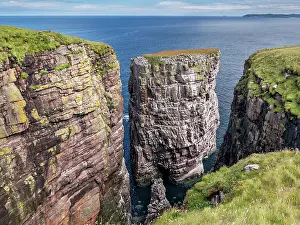 Landform Prints: Common guillemots (Uria aalge) colony perched on coastal cliffs and sea stack