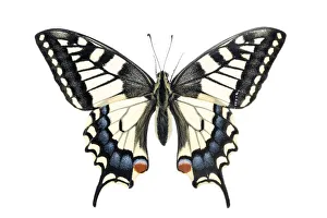Images Dated 2016 May: 21 May 2016 Collection
