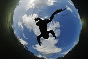 Aquatic Gallery: Common Toad (Bufo bufo) seen from below against a blue sky with clouds. Surrey, England, March