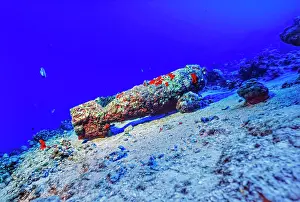Hawaii Islands Prints: A coral encrusted unexploded bomb at depth off Molokini Marine Preserve in Maui County