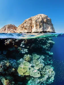 North Africa Gallery: Coral reef below the cliffs of Shark Observatory, Ras Mohammed National Park, Sinai, Egypt, Red Sea