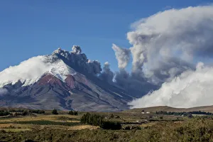Images Dated 2015 August: 20 Aug 2015 Collection