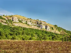 Ericales Prints: Cotton grass (Eriophorum angustifolium) and Heather (Calluna vulgaris) covering a lowland