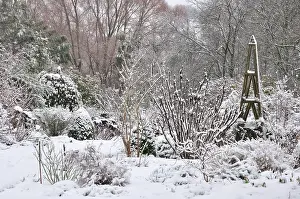 Severe Weather Prints: Country garden in winter during snow storm, Dorset, England, UK January, 2013