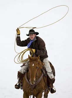 2009 Highlights Prints: Cowboy riding in snow throwing a loop, Flitner Ranch, Shell, Wyoming, USA Model released
