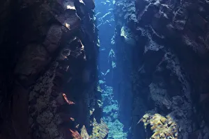 Tectonic Plates Prints: Crack of the continental drift between the North American and Eurasian Plates at Thingvellir
