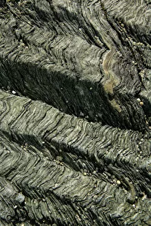 Crenulation cleavage developed in Pre-Cambrian age chlorite schist, a metamorphic rock Llyn