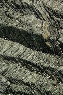 2018 December Highlights Prints: Crenulation cleavage developed in Pre-Cambrian age chlorite schist