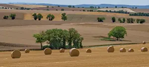 Massif Central Prints: Cultivated farmland and pastures