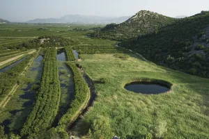 Cultivated part of the lower Neretva river delta with a sinkhole in marshland surrounded by Reeds