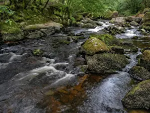 Massif Central Prints: The Cure river flowing over rocks through woodland