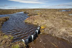 Dam in place to re-wet blanket bog at RSPB Forsinard Flows, Flow country, Caithness