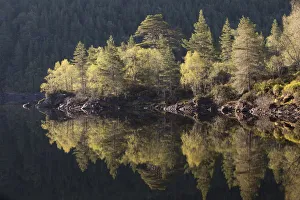 Dawn reflections in Loch Beinn a Mheadhoin, Glen Affric, Wester Ross, Highlands, Scotland