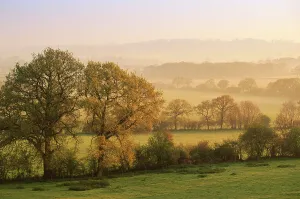 Outstanding Prints: Dawn at Staunton Caundle, Dorset, English countryside, UK England