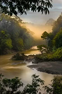 Dawn / sunrise over the Segama River, with mist hanging over lowland Dipterocarp rainforest